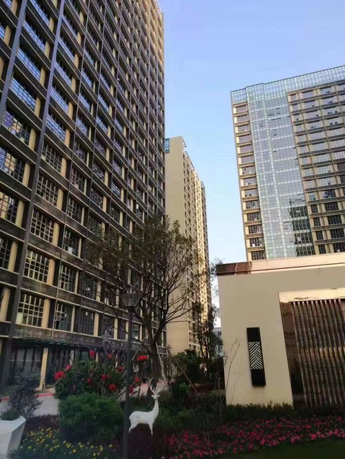 深圳商品房市場(chǎng)觀察 供需演進(jìn)與未來走向